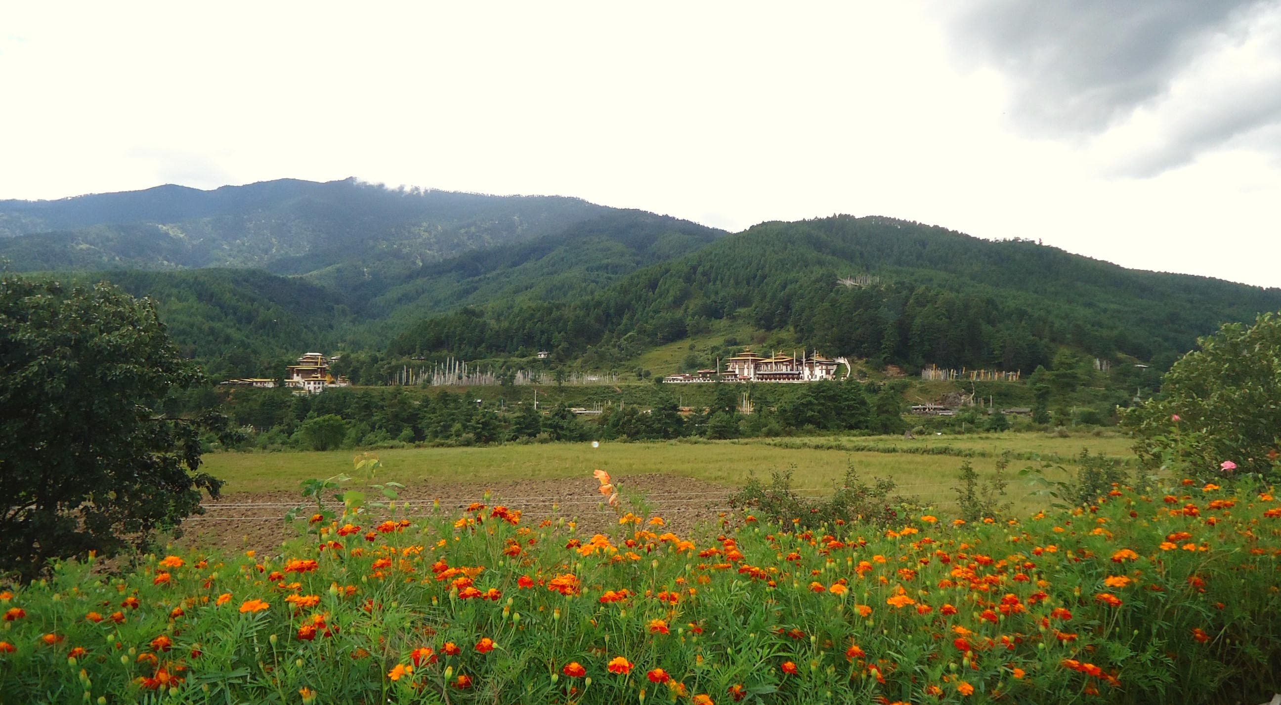 Amazing Bhutan — gallery image 2