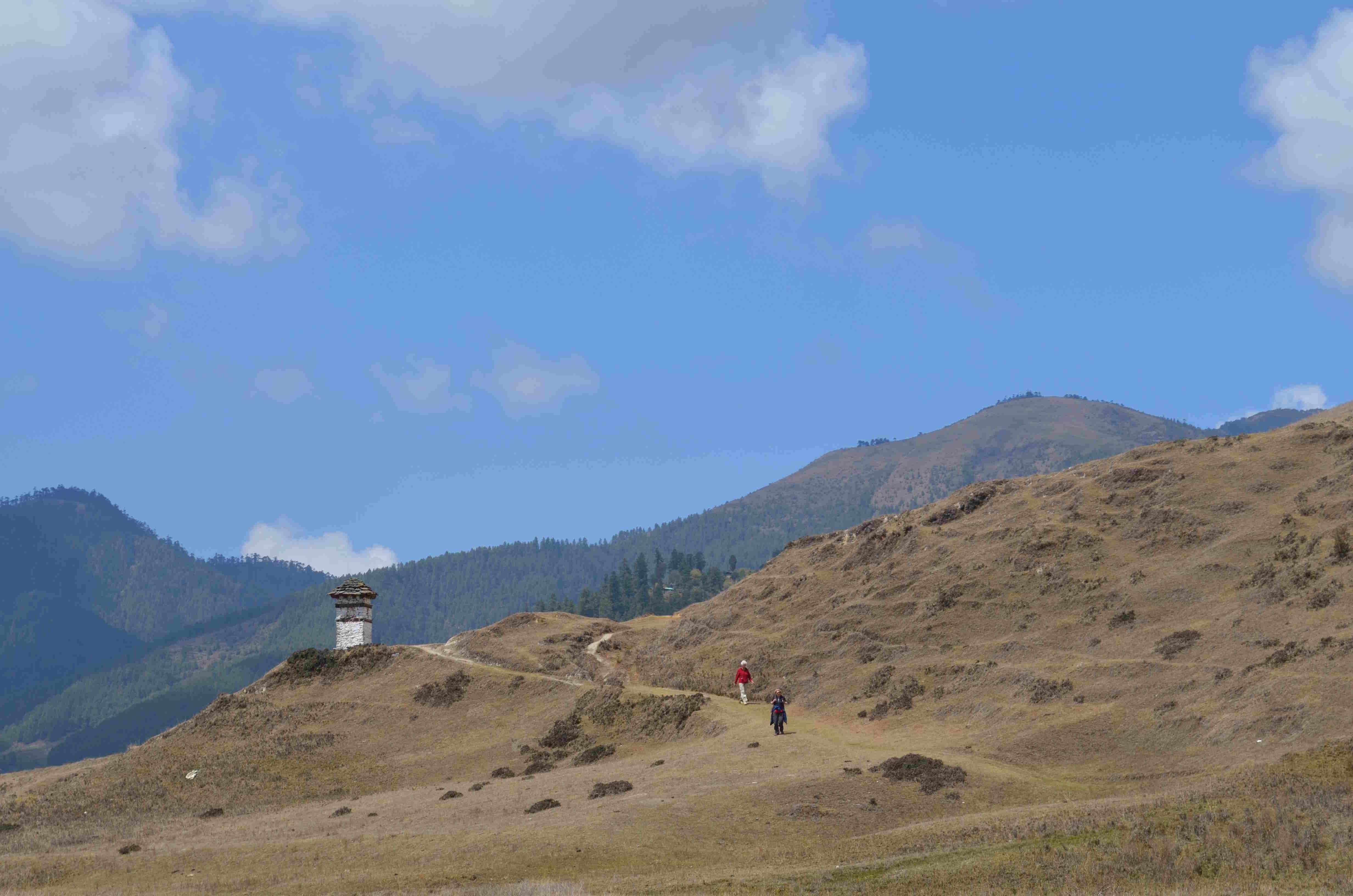 In Search of the Black-Necked Cranes — gallery image 2