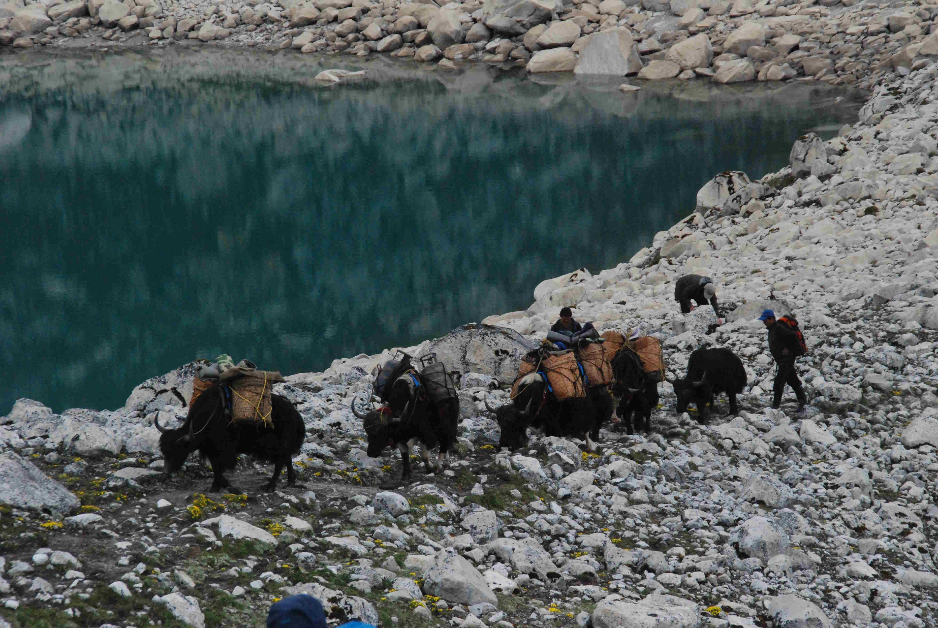 Dagala Thousand Lakes Trek — gallery image 1