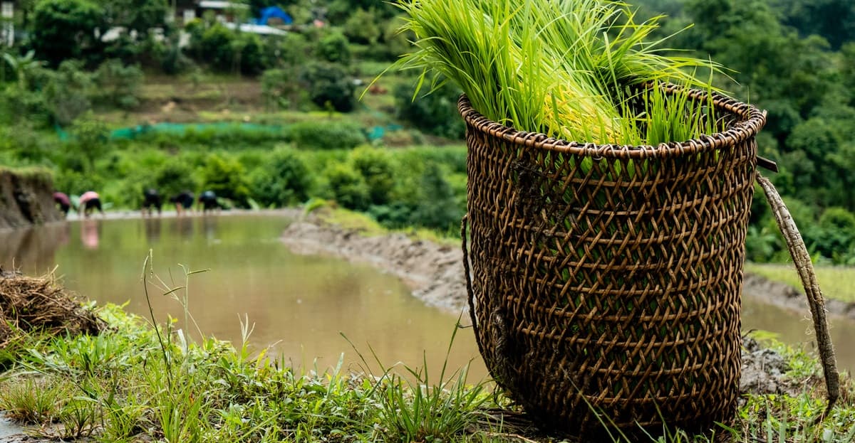 Food & Cuisine — Simply Bhutan