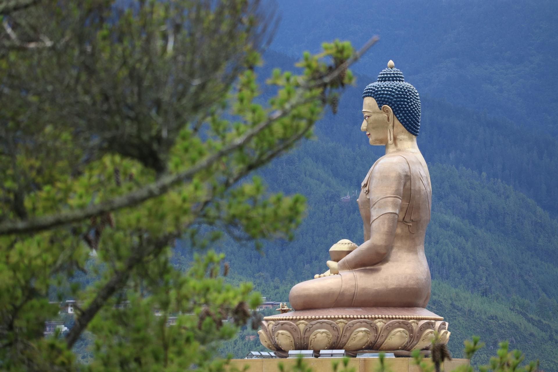 Stillness in Bhutan
