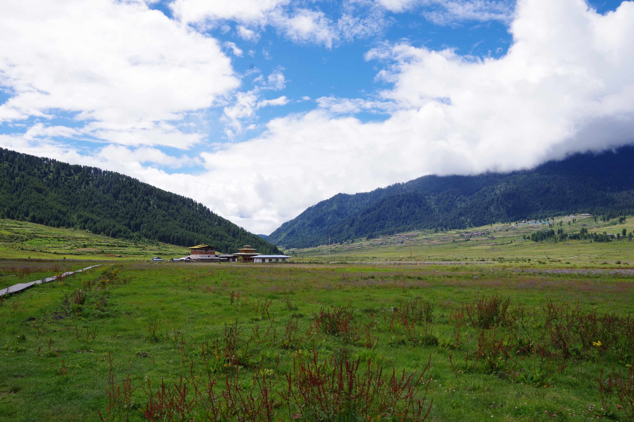 In Search of the Black-Necked Cranes — gallery image 3